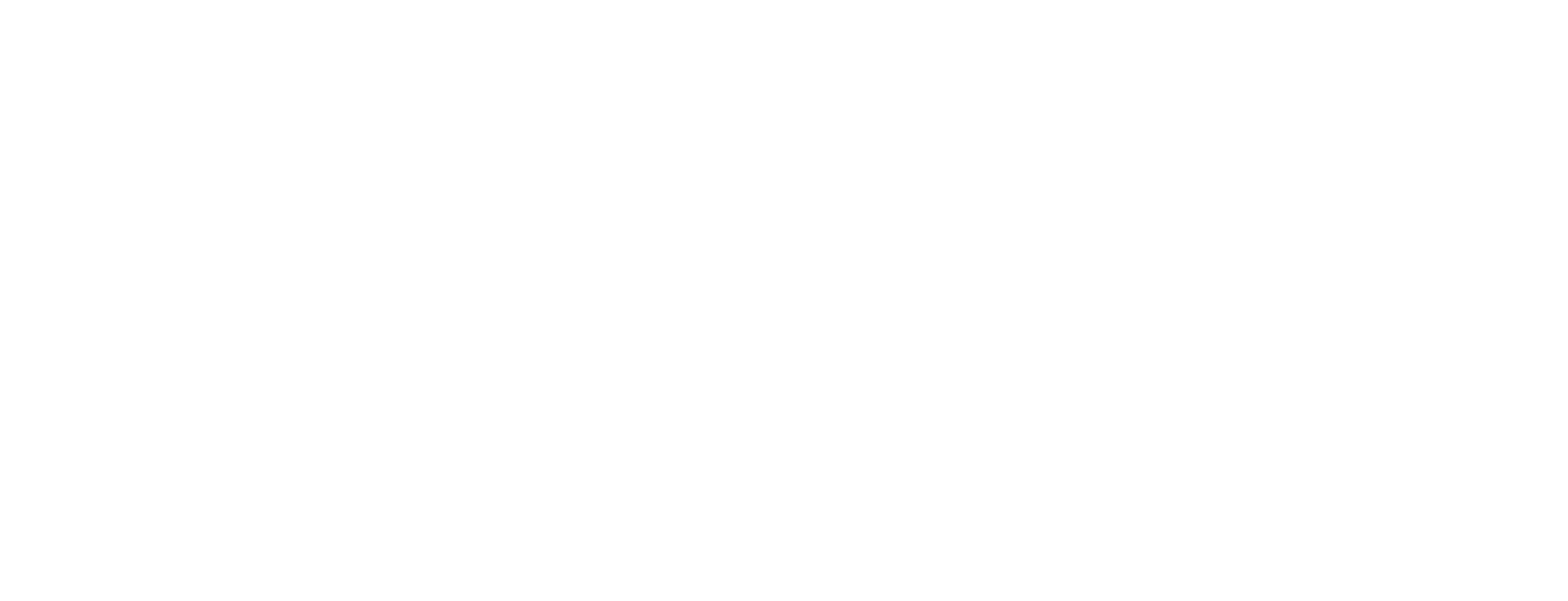 IDEE Jeune Logo